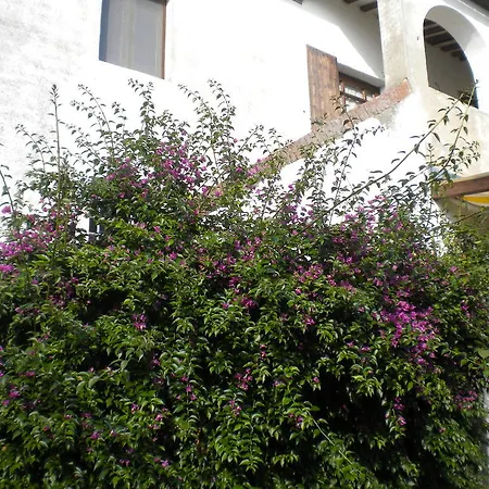 Montechiari Forcoli